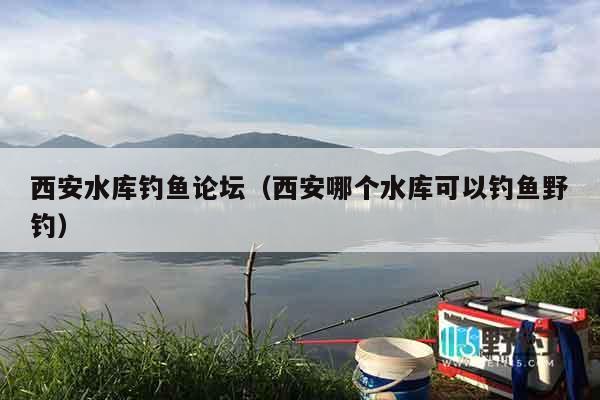 西安水库钓鱼论坛（西安哪个水库可以钓鱼野钓）