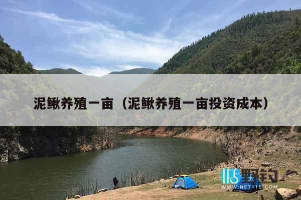 泥鳅养殖一亩（泥鳅养殖一亩投资成本）