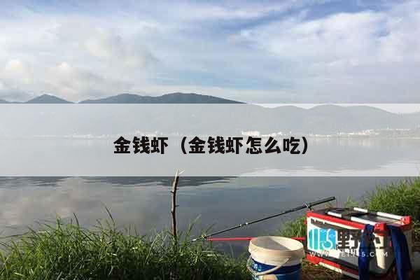 金钱虾（金钱虾怎么吃）