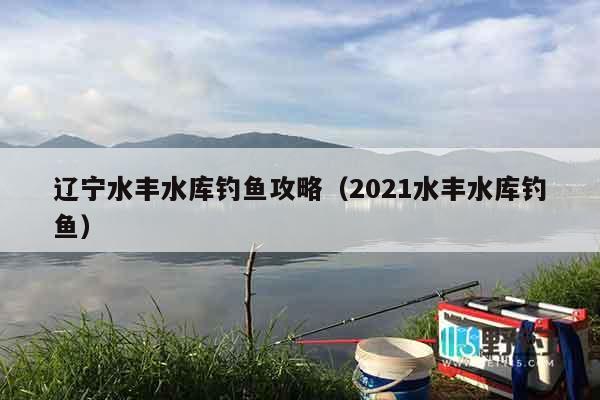 辽宁水丰水库钓鱼攻略（2021水丰水库钓鱼）
