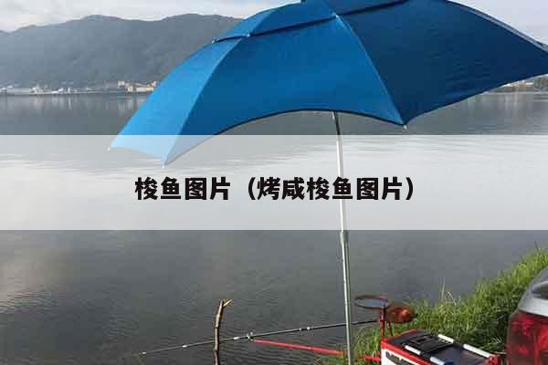 梭鱼图片（烤咸梭鱼图片）