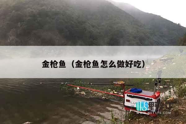 金枪鱼（金枪鱼怎么做好吃）