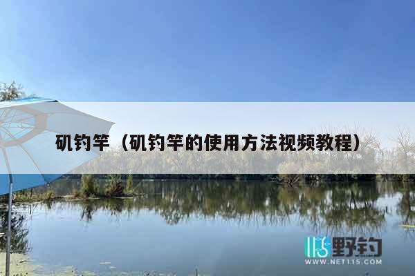 矶钓竿（矶钓竿的使用方法视频教程）