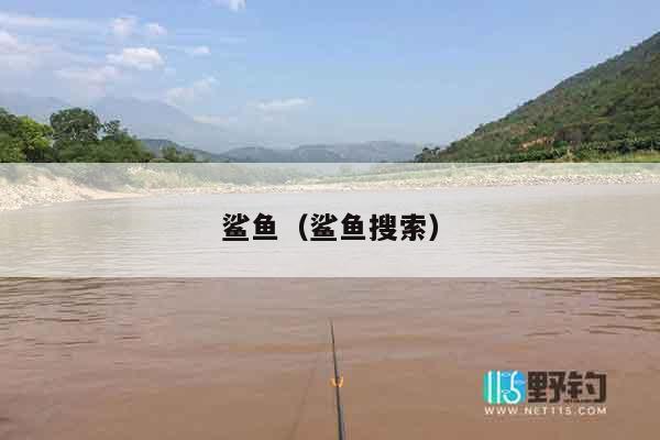 鲨鱼（鲨鱼搜索）