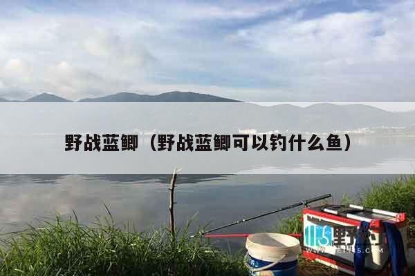 野战蓝鲫（野战蓝鲫可以钓什么鱼）