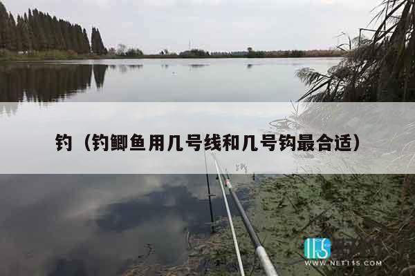 钓（钓鲫鱼用几号线和几号钩最合适）