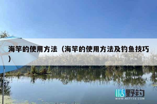 海竿的使用方法（海竿的使用方法及钓鱼技巧）