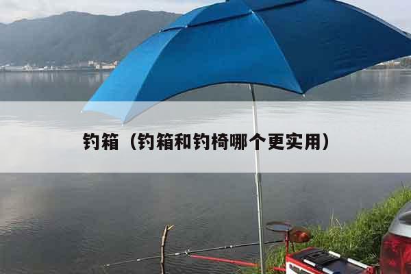 钓箱（钓箱和钓椅哪个更实用）