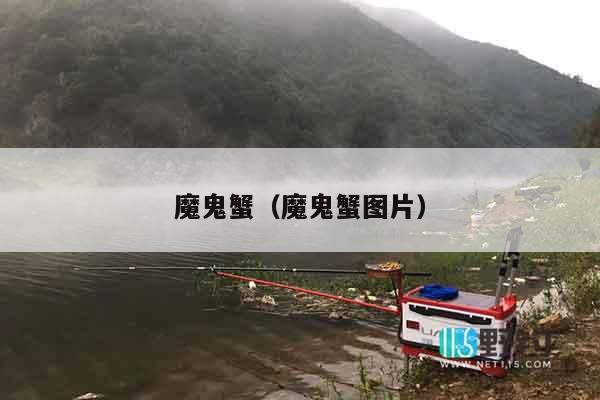 魔鬼蟹（魔鬼蟹图片）