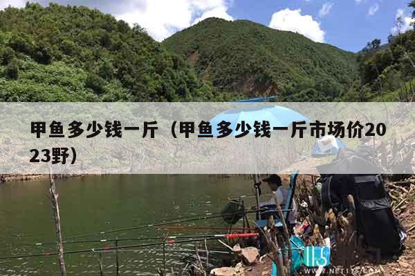 甲鱼多少钱一斤（甲鱼多少钱一斤市场价2023野）