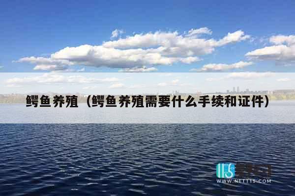 鳄鱼养殖（鳄鱼养殖需要什么手续和证件）