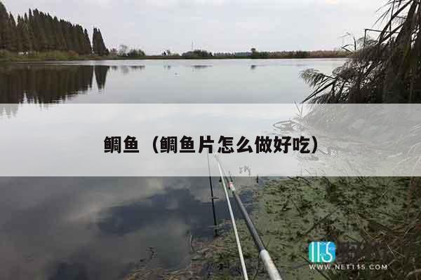 鲷鱼（鲷鱼片怎么做好吃）