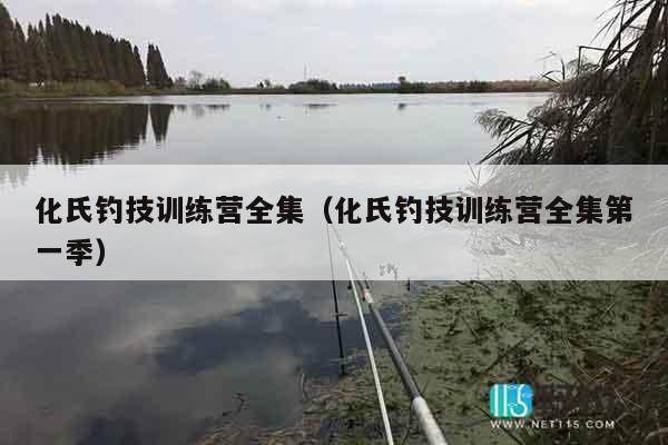 化氏钓技训练营全集（化氏钓技训练营全集第一季）