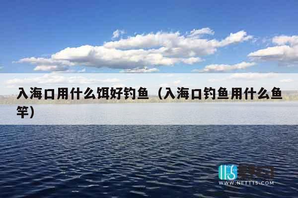 入海口用什么饵好钓鱼（入海口钓鱼用什么鱼竿）
