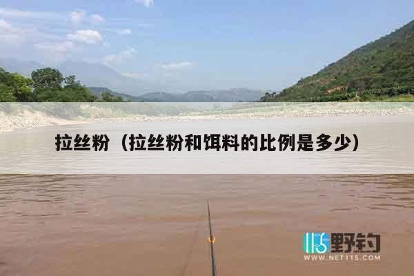 拉丝粉（拉丝粉和饵料的比例是多少）