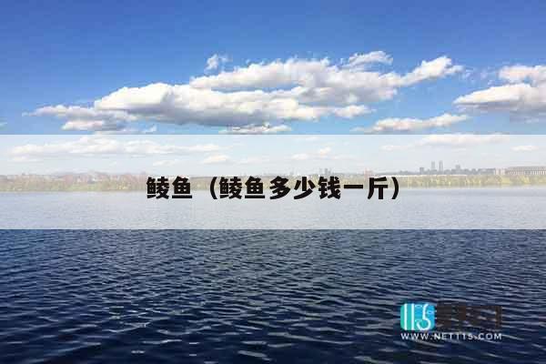 鲮鱼（鲮鱼多少钱一斤）