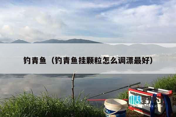 钓青鱼（钓青鱼挂颗粒怎么调漂最好）