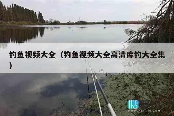 钓鱼视频大全（钓鱼视频大全高清库钓大全集）