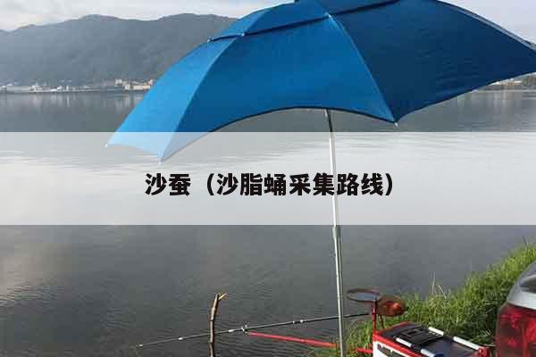 沙蚕（沙脂蛹采集路线）