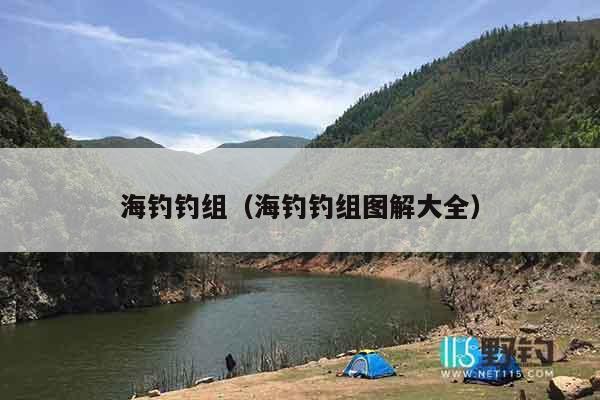海钓钓组（海钓钓组图解大全）