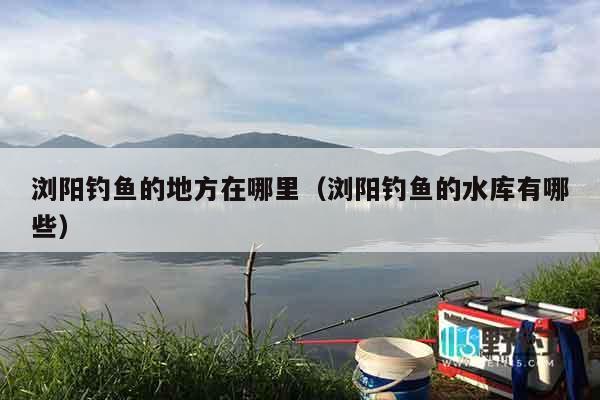 浏阳钓鱼的地方在哪里（浏阳钓鱼的水库有哪些）