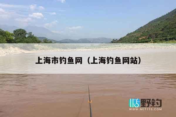 上海市钓鱼网（上海钓鱼网站）