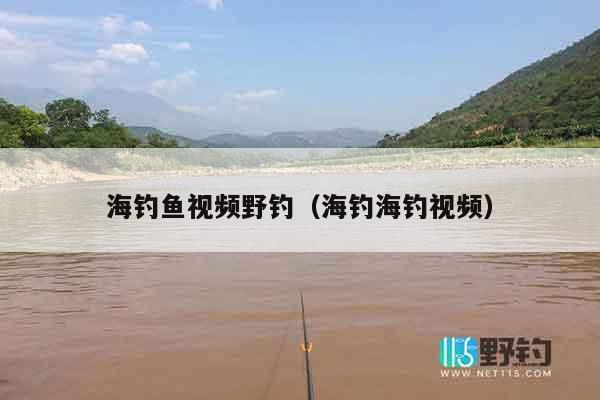 海钓鱼视频野钓（海钓海钓视频）