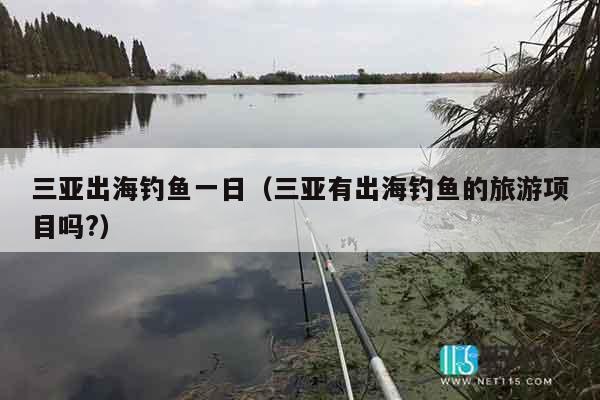 三亚出海钓鱼一日（三亚有出海钓鱼的旅游项目吗?）
