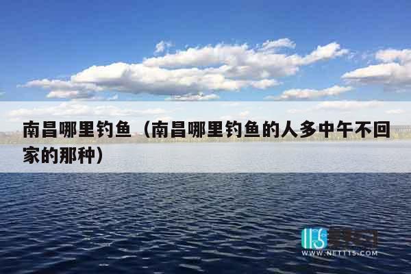 南昌哪里钓鱼（南昌哪里钓鱼的人多中午不回家的那种）