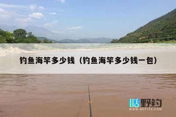 钓鱼海竿多少钱（钓鱼海竿多少钱一包）