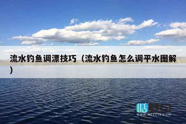流水钓鱼调漂技巧（流水钓鱼怎么调平水图解）