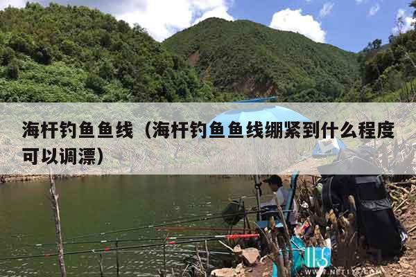 海杆钓鱼鱼线（海杆钓鱼鱼线绷紧到什么程度可以调漂）