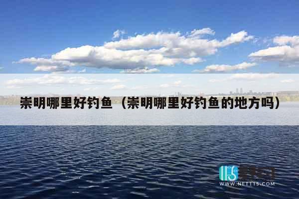 崇明哪里好钓鱼（崇明哪里好钓鱼的地方吗）