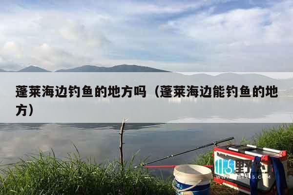 蓬莱海边钓鱼的地方吗（蓬莱海边能钓鱼的地方）