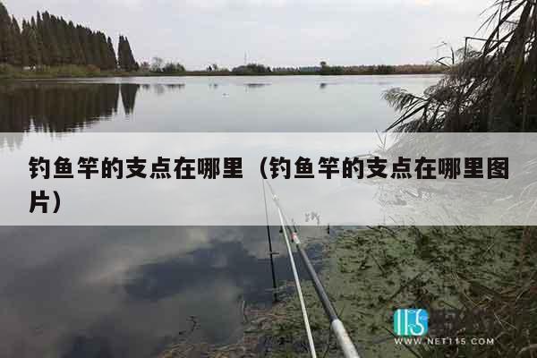 钓鱼竿的支点在哪里（钓鱼竿的支点在哪里图片）