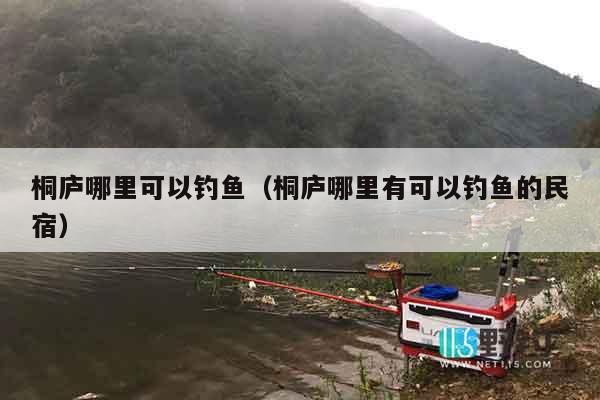 桐庐哪里可以钓鱼（桐庐哪里有可以钓鱼的民宿）