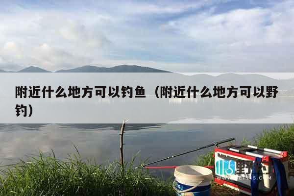 附近什么地方可以钓鱼（附近什么地方可以野钓）