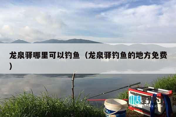 龙泉驿哪里可以钓鱼（龙泉驿钓鱼的地方免费）