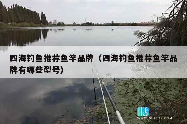 四海钓鱼推荐鱼竿品牌（四海钓鱼推荐鱼竿品牌有哪些型号）