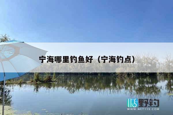 宁海哪里钓鱼好（宁海钓点）
