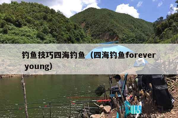 钓鱼技巧四海钓鱼（四海钓鱼forever young）
