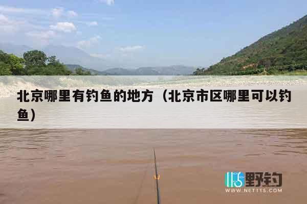 北京哪里有钓鱼的地方（北京市区哪里可以钓鱼）