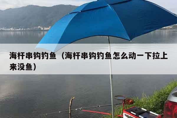 海杆串钩钓鱼（海杆串钩钓鱼怎么动一下拉上来没鱼）