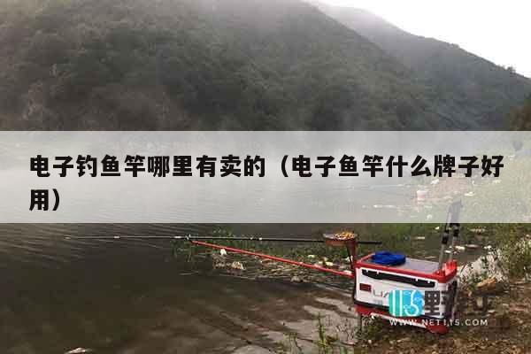 电子钓鱼竿哪里有卖的（电子鱼竿什么牌子好用）