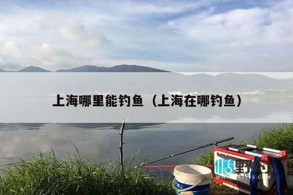 上海哪里能钓鱼（上海在哪钓鱼）
