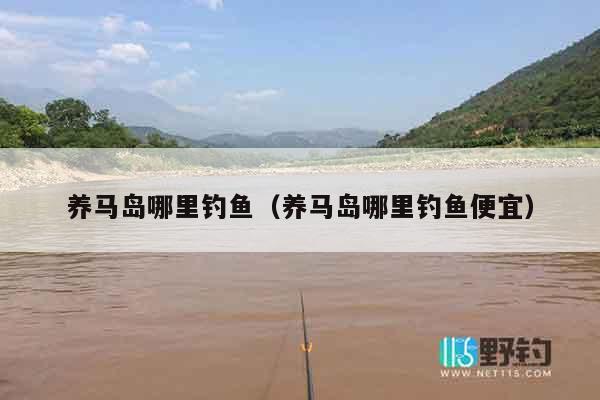 养马岛哪里钓鱼（养马岛哪里钓鱼便宜）