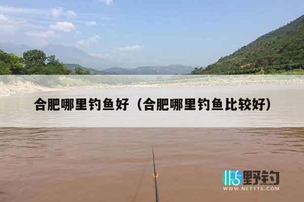 合肥哪里钓鱼好（合肥哪里钓鱼比较好）