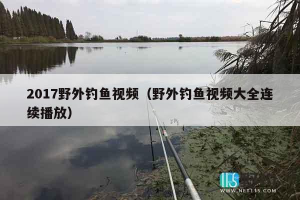 2017野外钓鱼视频（野外钓鱼视频大全连续播放）