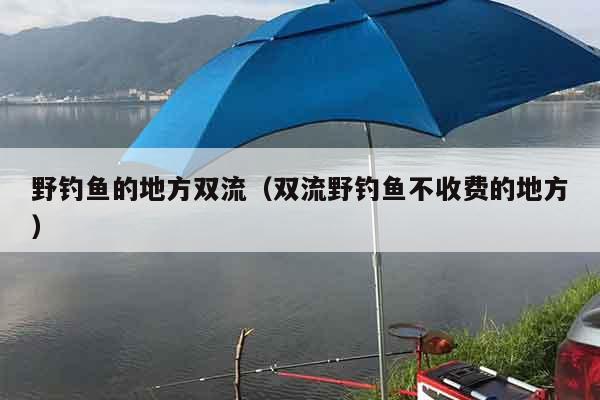 野钓鱼的地方双流（双流野钓鱼不收费的地方）