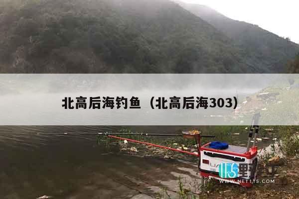 北高后海钓鱼（北高后海303）